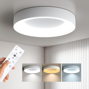 Creative Colorful Simple LED Dimmable Ceiling Lights