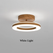 Gold Simple Iron Hallway LED Dimmable Ceiling Light
