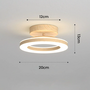 Gold Simple Iron Hallway LED Dimmable Ceiling Light