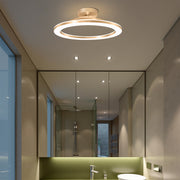 Gold Simple Iron Hallway LED Dimmable Ceiling Light