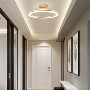 Gold Simple Iron Hallway LED Dimmable Ceiling Light