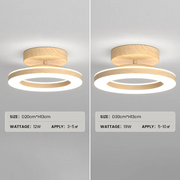 Gold Simple Iron Hallway LED Dimmable Ceiling Light