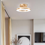 Gold Simple Iron Hallway LED Dimmable Ceiling Light
