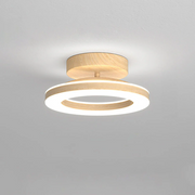 Gold Simple Iron Hallway LED Dimmable Ceiling Light