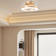 Gold Simple Iron Hallway LED Dimmable Ceiling Light