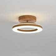 Gold Simple Iron Hallway LED Dimmable Ceiling Light