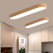 Modern Simple Style Acrylic LED Dimmable Ceiling Light