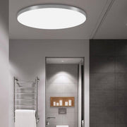 Minimalism Round Flush LED Ceiling Light