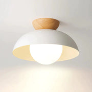 Modern LED Ceiling Pendant Lamp