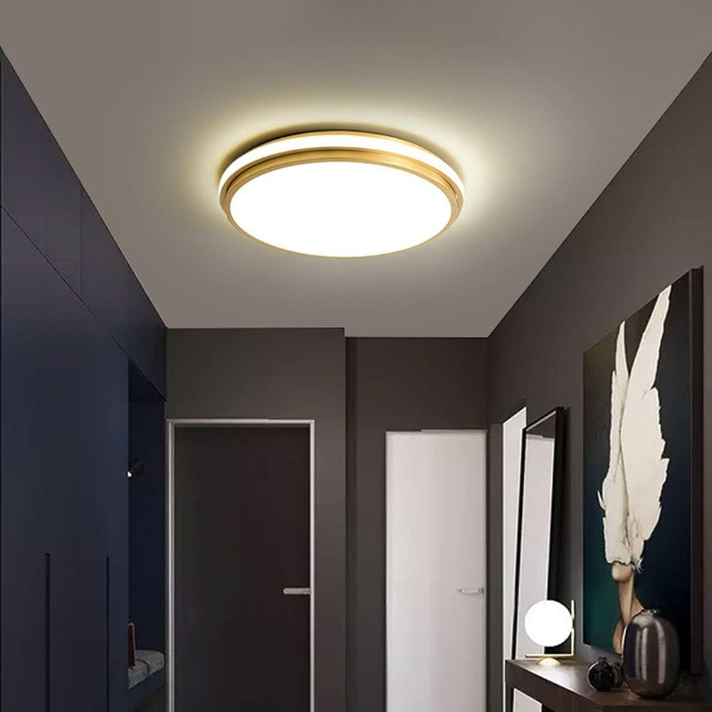 Modern Minimalism Round Flush Mount Dimmable LED Ceiling Lights For ...