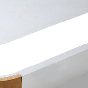 Minimalist Elliptical Geometry Ceiling Lights Fixture -Homdiy