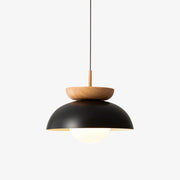 Modern LED Ceiling Pendant Lamp