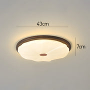 Walnut Color Modern LED Bedroom Ceiling Light
