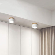 Small Hallway Simple LED Ceiling Lights