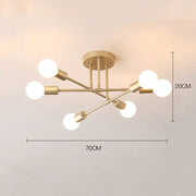 Modern Simple Design Living Room Ceiling Lamp