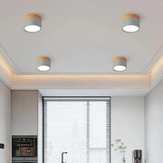 Small Hallway Simple LED Ceiling Lights