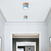 Small Hallway Simple LED Ceiling Lights