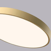 Simple Circular Flush Mount LED Ceiling Lights