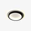 Round Simple Acrylic LED Living Room Ceiling Lights