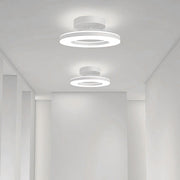 Gold Simple Iron Hallway LED Dimmable Ceiling Light