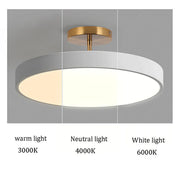 Modern Round Acrylic Color LED Dimmable Ceiling Light