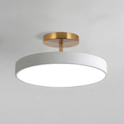 Modern Round Acrylic Color LED Dimmable Ceiling Light